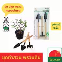 ราคา อุปกรณ์ทำสวน ชุดพรวนดิน ข้อนปลูกจิ๋ว ชุดทำสวนมินิ คราด อุปกรณ์ปลูกต้นไม้ จัดสวนถาด อันเล็ก 3 ชิ้น (1729601725020080719)