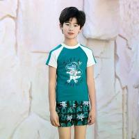 ราคา ชุดว่ายน้ำเด็กสองชิ้นสำหรับเด็กโต คุณภาพสูง ลายการ์ตูนฉลาม ป้องกันแสงแดด แห้งเร็ว option ว ั ย ร ุ ่ น บ า ง แ ส เสื้อ benz ของ แท้ ยืด mitr ปุ๋ย เสื้อเหล้าขาว40ดีกรี (1734457993521759924)