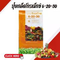 ราคา ♚ปุ๋ย ปุ๋ยกิฟฟารีน เกล็ดโกรแม็กซ์ สูตร 6-20-30☃ (1735087656538244798)