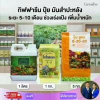 ราคา กิฟฟารีน ปุ๋ย มันสำประหลัง ระยะ 5-10 เดือน ช่วงเร่งแป้ง เพิ่มน้ำหนัก สารจับใบ 1 ลิตร + โบโรแคล 1 กก. + ปุ๋ยสูตร 6-20-30 5 กก. (1735432278312715959)