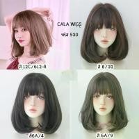 ราคา วิกผม วิกผม, ผมยาวประบ่า, คาลาวิก รวมทรงผม ผมดี สวย สินค้าส่งในไทย พร้อมส่ง (1735439359601313022)