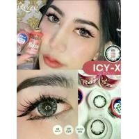 ราคา คอนแทคเลนส์ บิ๊กอาย รุ่น Icy-x/Chimmer เกล็ดหิมะ เกล็ดน้ำแข็ง สีเทา/ตาล Gray/Brown มีค่าสายตา (1731234153164933182)