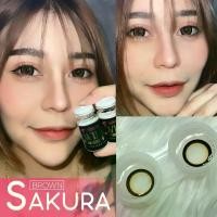 ราคา *มีค่าสายตา* คอนแทคเลนส์ Wink sakura Brown Gray ตัดขอบ เปลี่ยนแทนทุกเดือน (1729726830781106238)