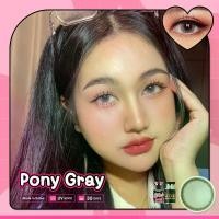 ราคา คอนแทคเลนส์ Wink ลาย Pony ปังปุริเย่ ไม่มีค่าสายตา #สีเทา #แถมตลับ (1734549416616035830)