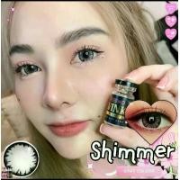 ราคา คอนแทคเลนส์Shimmer Chestnut / Gray (Wink) ขนาดบิ๊กอาย (1730506678486665278)