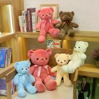 ราคา ตุ๊กตาหมีตุ๊กตาหมี ริบบิ้น สีสันสดใส ตุ๊กตาเครื่องกรงเล็บ ตุ๊กตาสัตว์ เครื่องกรงเล็บตุ๊กตาหมี โลโก้ที่กำหนดเอง ตุ๊กตา มี สิว (1731387024226289232)