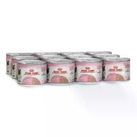 ราคา ✩(กปแมว)ล๊อตใหม่ROYAL CANIN MOTHER&BABYCAT CAN 195g×12 กระป๋อง อาหารเปียกสำหรับแม่แมวและลูกแมว♂ (1735142942002414777)