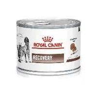ราคา !!ยกถาด!! RECOVERY CAN ROYAL CANIN 12 กระป๋อง (1734547373373163416)