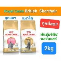 ราคา Royal Canin British Shorthair Kitten 2kg โรยัลคานิน ลูกแมวบริติช / British Shorthair Adult 2kg แมวโต ถุง 2 กก. (1735493618540053522)