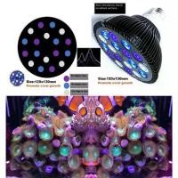 ราคา ไฟ LED สำหรับตู้ปลา หลอด PAR38 พร้อมขั้วหลอด E27 เหมาะสำหรับปะการังทะเล ปลา น้ำเค็ม น้ำจืด ตู้นาโน และการเจริญเติบโตของพืช (1735058290517575172)