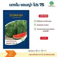 ราคา เมล็ดพันธุ์แตงโม ซอนญ่าโปร 75 ตราเจียไต๋ ขนาด40 กรัม (1000 เมล็ด) (1733619489041450868)