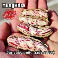ราคา มังคละ ถั่วลายเสือดิบ ขนาด (เมล็ด+เปลือก) ถั่วลายเสือ ของดี ของฝาก จังหวัดแม่ฮ่องสอน (1731341662484333633)