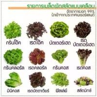 ราคา [COD] เมล็ดพันธุ์ผักสลัด ชนิดเคลือบ ขนาด 100 เมล็ด กรีนโอ๊ค เรดโอ๊ค คอส กรีนคอรัส กรีนคอส ฟิลเล่ย์ (1735276347308934228)