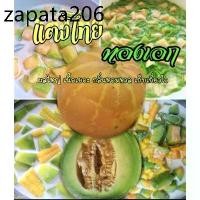 ราคา เมล็ดพันธุ์แตงไทยทองเอก หอม หวาน ดก ชุด 50 เมล็ด ขยายพันธ์ุต่อได้ (1735313388535580330)