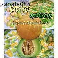 ราคา เมล็ดพันธุ์แตงไทยทองเอก หอม หวาน ดก ชุด 50 เมล็ด ขยายพันธ์ุต่อได้ (1735424182951183544)