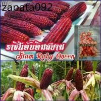 ราคา เมล็ดพันธุ์ข้าวโพดหวานทานดิบ.ราชินีทับทิมสยาม(siam ruby queen)ชุดละ 50 เมล็ด (1735487577724192244)