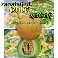 ราคา เมล็ดพันธุ์แตงไทยทองเอก หอม หวาน ดก ชุด 50 เมล็ด ขยายพันธ์ุต่อได้ (1735528719516468379)