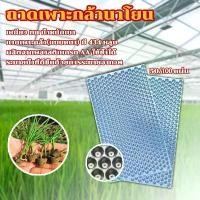 ราคา ถาดเพาะกล้านาโยน ถาดเพาะชำต้นกล้า ต้นอ่อน เมล็ด เพาะข้าว ป้องกันโรครากเน่า 434 หลุม 50/100แผ่น ใช้ซ้ำได้ (1731795399063012372)