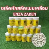 ราคา ขายดี เมล็ดพันธุ์ผักสลัด แบบเมล็ดเคลือบ ENZA ZADEN อัตราการงอก 99% แบ่งบรรจุ 100 เมล็ด (1733692299422172358)