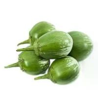 ราคา 200 เมล็ด เมล็ดผัก มะเขือ ผักคู่สวนครัวไทย เหมาะแก่การทำสวน Eggplant Vegetable Seeds สายพันธุ์ มะเขือตอแหลเขียว (1735331100340946386)