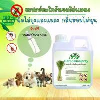 ราคา COD สเปรย์กันยุง ขับไล่และป้องกันแมลง ออร์แกนิค สมุนไพร ตะไคร้หอมไล่ยุง ไล่แมลง กันยุง ไล่แมลงสาบ หอมกลิ่นตะไคร้ (1735305959858210809)