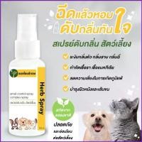 ราคา Qxu963SHOP สเปรย์ดับกลิ่นตัว สุนัข แมว ดับกลิ่นสาบ กลิ่นเหม็น กลิ่นฉี่ กลิ่นทราย 100 ml. สมุนไพร หมอไทยทำเอง รองเท้าแตะผู้หญิงไซส์ 4145 รองเท้าหนัง รองเท้าlacoste စည်းသူပလပ်ကျွတ် (1735319863411181498)