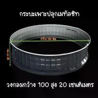 ราคา กระบะเพาะปลูกเมทัลชีท วงกลม ขนาด กว้าง 100 สูง 20 เซนติเมตร แถมขอบยางกันบาด พร้อมน็อต สำหรับปลูกต้นไม้ ดอกไม้ ทำแปลงผัก ตกแต่งบ้านและสวน (1733311228050834615)