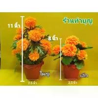 ราคา ♒ดอกดาวเรือง ️ ดาวเรือง ดาวเรืองปลอม กระถางดาวเรือง ดอกไม้ปลอม สามารถดัดแต่งได้ มี 2 ขนาด พร้อมส่ง‼️✪ (1734541781103445193)