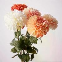 ราคา 2026BK ดอกไม้ปลอม Dahlia ดอกไม้ปลอมที่สมจริงระดับสูง ดอกไม้ปลอมสองกลีบ ดอกไม้ปลอมฤดูใบไม้ร่วง ตกแต่งบ้าน ดอกไม้ปลอมงานแต่งงาน (1734212610682750421)