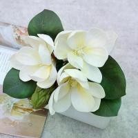 ราคา 4ชิ้น DIY ของตกแต่ง เครื่องประดับ อุปกรณ์ปาร์ตี้ ตกแต่งบ้าน สำหรับสำนักงานบ้าน กล้วยไม้ปลอม ดอกไม้ปลอม แมกโนเลียประดิษฐ์ ดอกไม้ประดิษฐ์ (1735121359343486926)