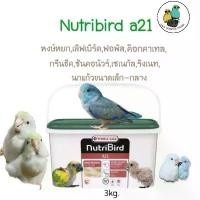 ราคา ♚อาหารลูกป้อนNutribird A21-ถัง3kg❄ (1734701138843108775)