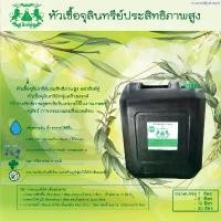 ราคา ขายดีประจำเดือนนี้ หัวเชื้อ EM ตราสิงห์คู่ ถัง 20 ลิตร (1735462438830638112)