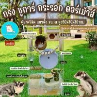 ราคา ตู้No.5 กรงชูการ์ กระรอก ดอร์เม้าส์️ตู้อะคริลิค60x30ซม. /บ้านชูการ์/บ้านกระรอก/บ้านดอร์เม้าส์/กรงกระรอก/กรงชูการ์ จัดส่งที่รวดเร็ว (1734961769972794910)