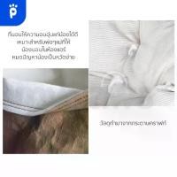 ราคา 【เก็บเงินปลายทาง】 My Paws ที่นอนแมวคล้ายถุงกระดาษ ถุงแมวนอน ถุงแมว ที่นอนแมว (1733619242014442549)