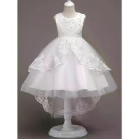ราคา Gorgeous Girls Performance Dress With Lace Trim Embroidered Trailing Puffy High Low Sleeveless Princess Dress (1733570418749310820)