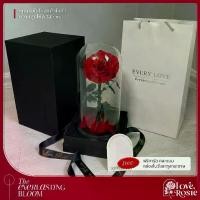 ราคา Love ,Rosie กุหลาบในโหลแก้ว Size สูง 32 cm ของขวัญวาเลนไทน์ ดอกกุหลาบอมตะ (1734357892008347510)