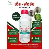 ราคา N-FORCE (เอ็น-ฟอร์ช) ยาเชื้อราสำหรับพ่น ทาแผล ราดโคน (1735214433763427802)