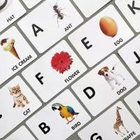 ราคา แฟลชการ์ด A-Z ภาพจริง แผ่นใหญ่ Flash card A-Z KP010 Vanda learning (1735539600350807546)