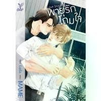 ราคา สถาพรบุ๊คส์ หนังสือ นิยาย นิยายวาย Love Storm พายุรักโถมใจ โดย MAME (1733096456084293501)