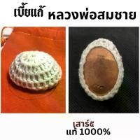 ราคา 【เก็บเงินปลายทาง】 ♧เบี้ยแก้ หลวงพ่อสมชาย วัดปริวาส เสาร์๕ เบี้ยกัน เบี้ยมหากันเสาร์๕ แท้100% ของสะสม สายมู วัตถุมงคล thai amulets เครื่องราง♥ (1735544699048265426)