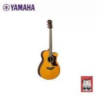 ราคา YAMAHA AC1R กีตาร์โปร่งไฟฟ้า ท็อปโซลิด เสียงดีมาก คุณภาพเยี่ยม (1734616312679466394)