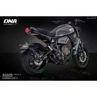 ราคา Yamaha XSR155 / XSR700 / XSR900 กันดีดหลัง DNA Mud Guard by PISTONBIKE (1735449543573997376)