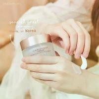 ราคา Rosegold Seacret Forest Cream (1729598382789527630)