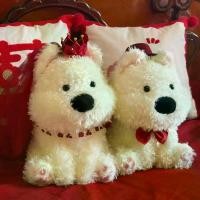 ราคา คู่ตุ๊กตาสุนัข West Highland สีแดง สำหรับตกแต่งเตียงแต่งงาน จัดวางห้องใหม่ของคู่บ่าวสาว และเป็นของขวัญสำหรับคู่บ่าวสาวที่เพิ่งแต่งงาน (1735129352418133140)