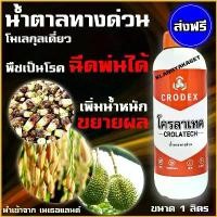 ราคา tetralshop แบบพกพา ชุด ลูกสูบ (1.00 มม.) ปะเก็น แท้ ยามาฮ่า ยามาฮ่า ฟีโน่ / มีโอ / นูโว เอ็มเอ็กซ์ (YAMAHA FINO / MIO / NOUVO MX / PISTON ASSY (1.00MM O/S) ) มอเตอร์ไซค์ Motorcycle รถ ซีล (17307821030