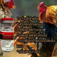 ราคา ูอาหารเสริมแมคบูลพลัสเข็มฉีด ไก่ ชุด เวย์ โปรตีน บิน ดี ตีแรง (1733666326550578333)