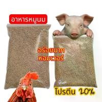 ราคา อาหารหมูนม 1kg สำหรับลูกสุกร ไก่ต่อสู้ โปรตีน 20% คุณภาพสูง กลิ่นหอม อาหารเสริมไก่ชน อาหารหมูอ่อน อาหารไก่ชน บรรจุ 1 กิโลกรัม (1735383002194412605)