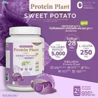 ราคา โปรตีนแพลนท์ สูตร 3 (รสมันเทศหวานสีม่วง) PROTEIN PLANT ปริมาณ 900 กรัม โปรตีนพืช ออแกรนิค คอลลาเจนเปปไทด์ แอลกลูต้าไธโอน สวัสดิการสด (1735537938770986945)