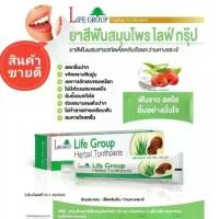 ราคา ยาสีฟันสมุนไพร ไลฟ์กรุ๊ป Herbal Toothpaste ส่วนผสมสมุนไพรเห็ดหลินจือและว่านหางจระเข้ (1735511065596495329)