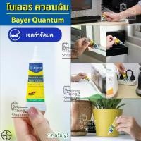 ราคา (แพค 2 หลอด) เจลกำจัดมด antiant แอนติแอนท์ เหยื่อกำจัดมด เจลล่อมด หยดเดียวเจลกำจัดมด เหยื่อกำจัดมด Bayer Quantum ไบเออร์ ควอนตั้ม Ant removal gel, Ant killing gel (1735211209622717879)